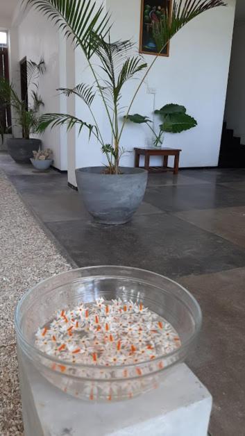 Akurala Beach Boutique Resort Esterno foto